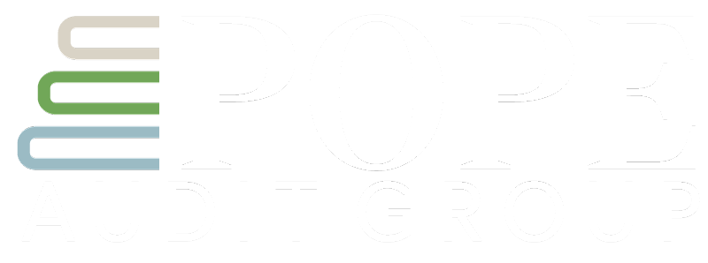 pope audit group logo